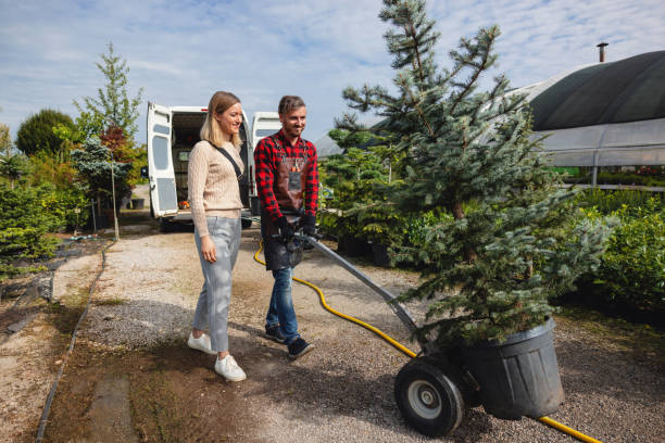 Best Leaf Removal  in Woodstock, VA